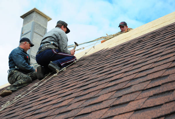 Best Roof Maintenance Services  in Fairmont, IL